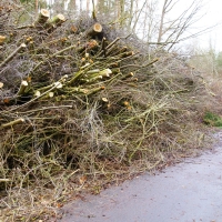 Angersbach DSC06778.jpg